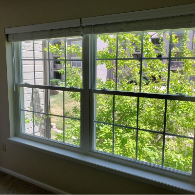 Arbor-cir-double-single-hung-alum-window-replacement-after